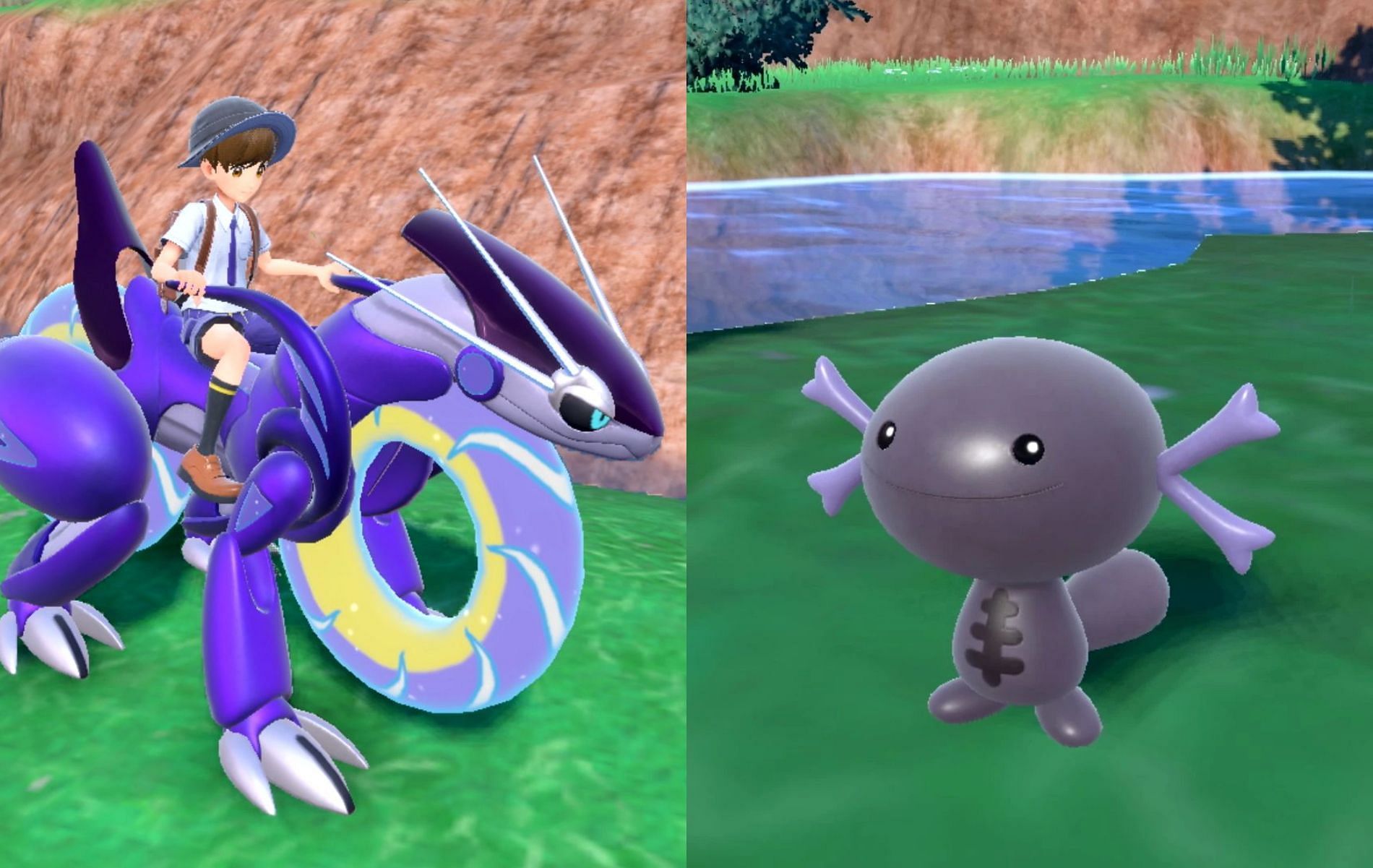 A new take on Pokemon variants seems to be headed to the latets entry in the series (Images via Nintendo)