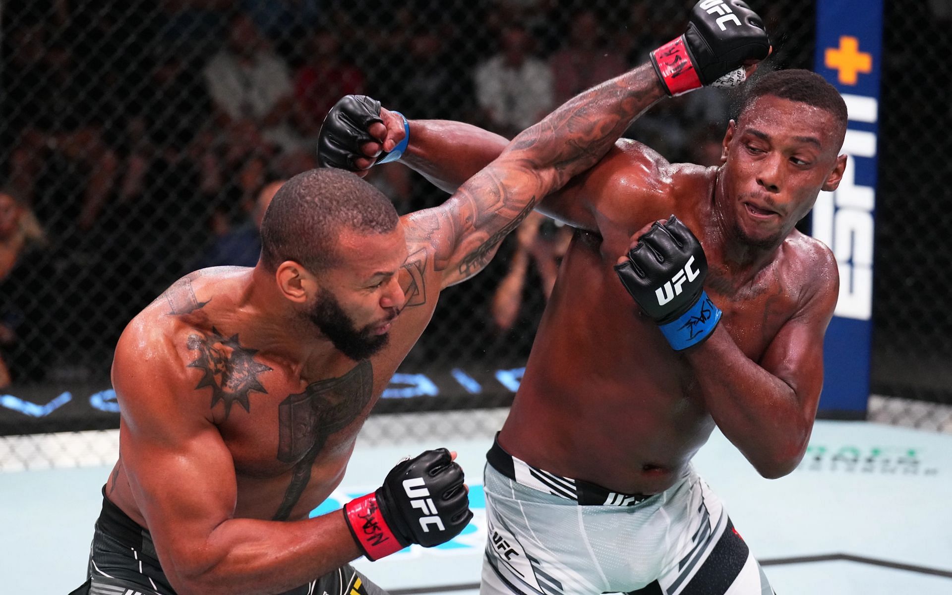 UFC Fight Night: Thiago Santos vs. Jamahal Hill featured a 100% finish rate