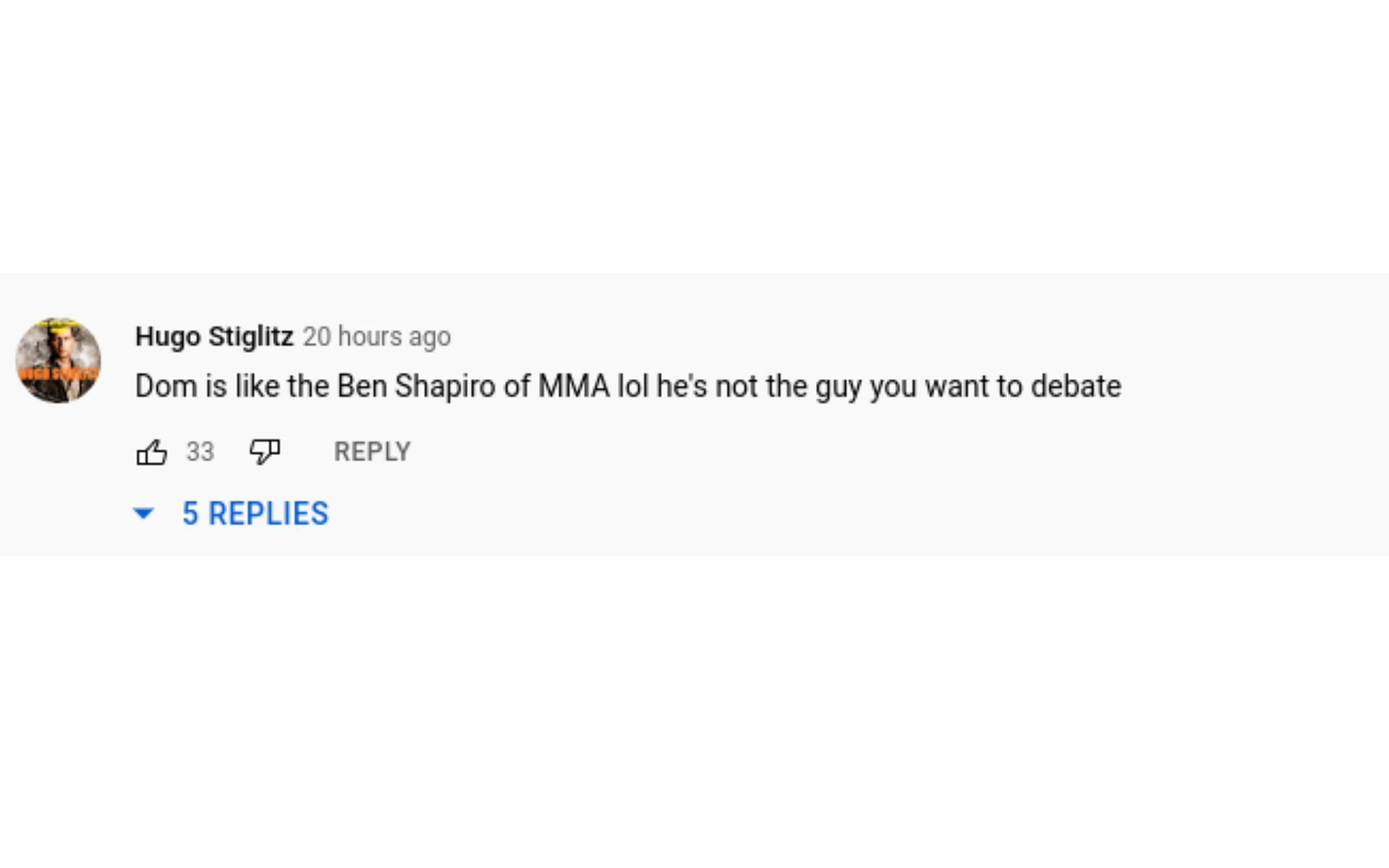 A fan's YouTube comment