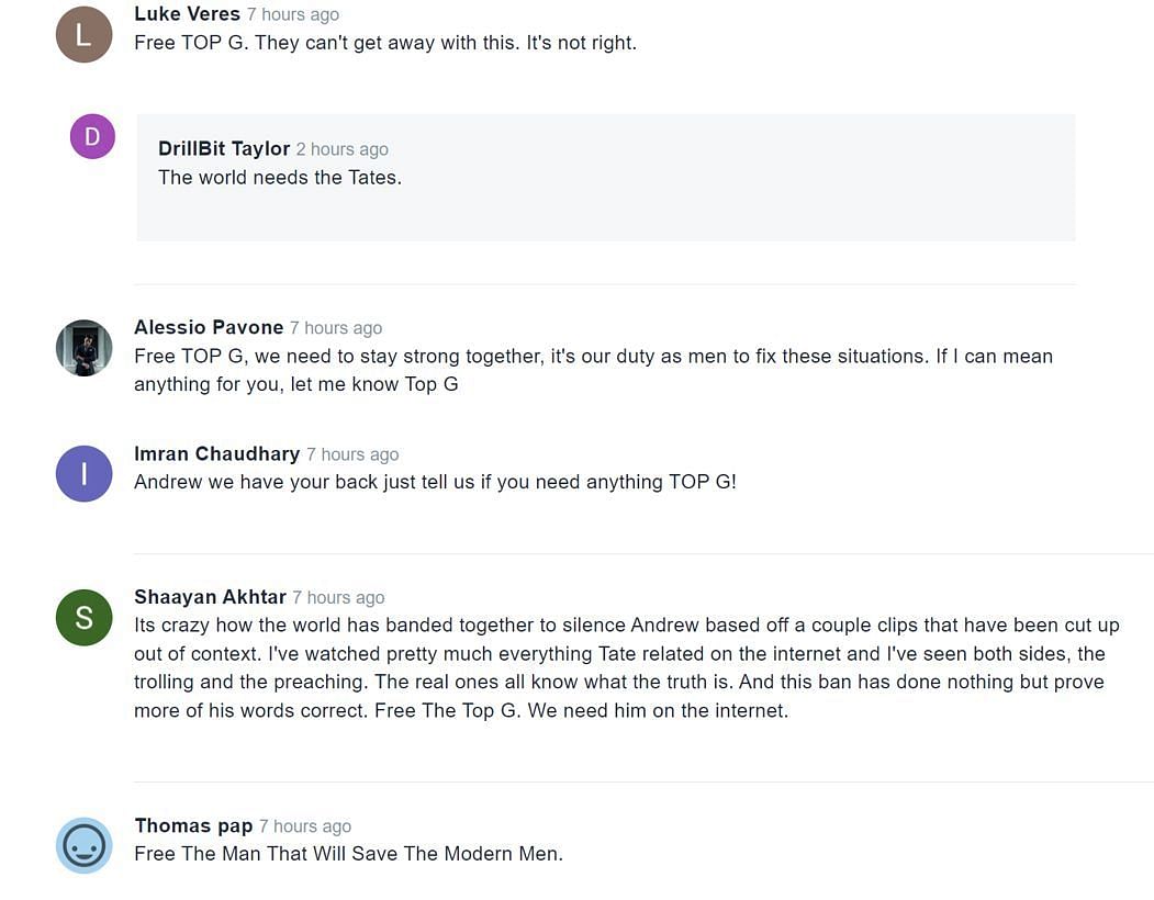 Fans in the Vimeo comments section provide their take (Image via Vimeo)