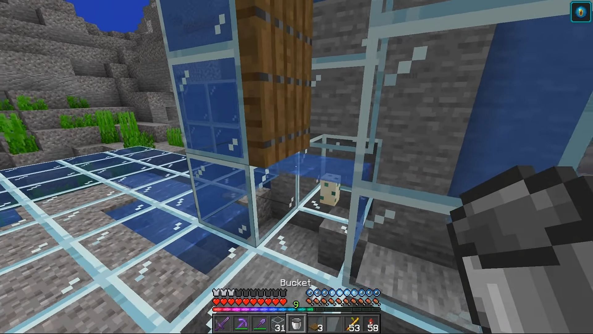 Turtle egg that will lure Drowned Minecraft mobs (Image via YouTube/Chapman Farms)