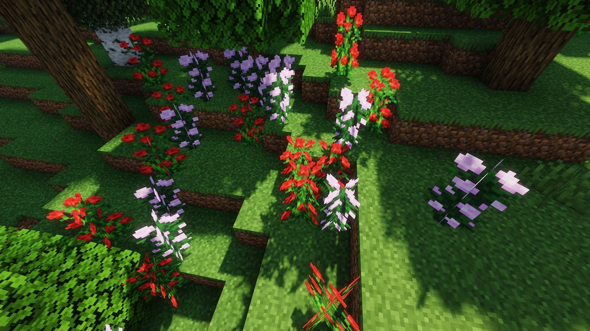 An example of some peony mixed with rose bushes (Image via Minecraft)