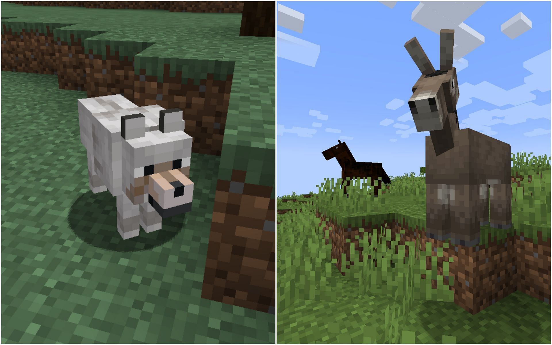 Nearly all passive mobs are friendly in Minecraft (Image via Sportskeeda)