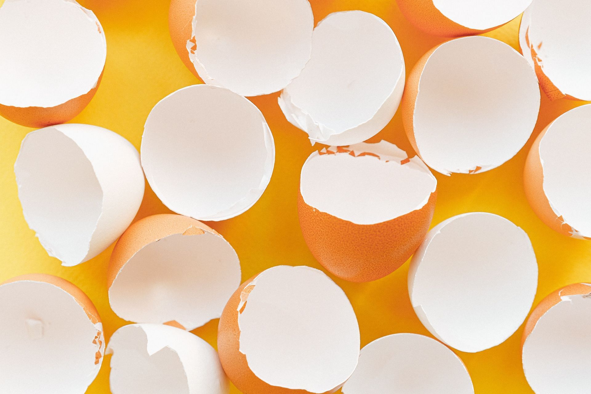 Source: Pexels