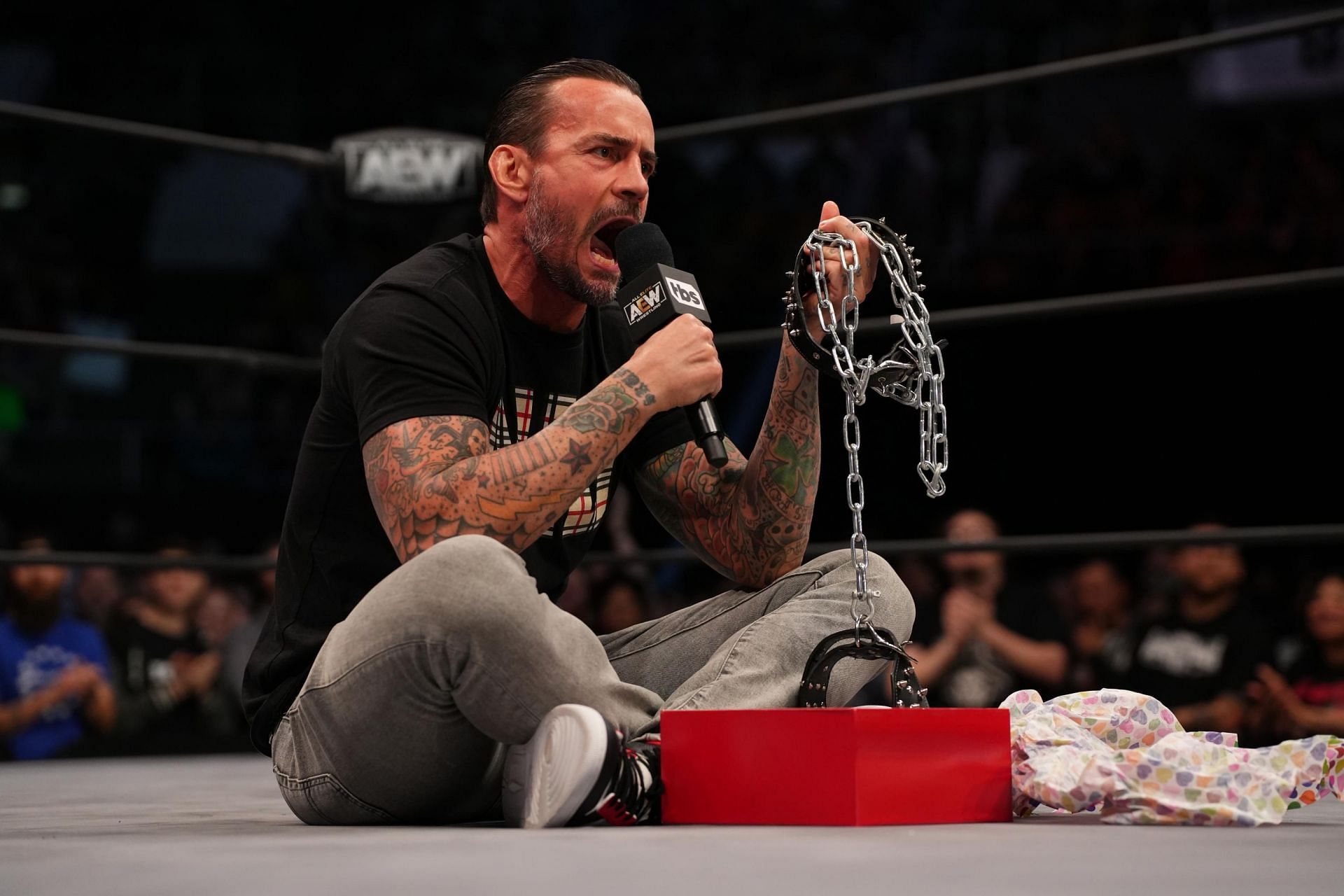 CM Punk is a former AEW World Champion