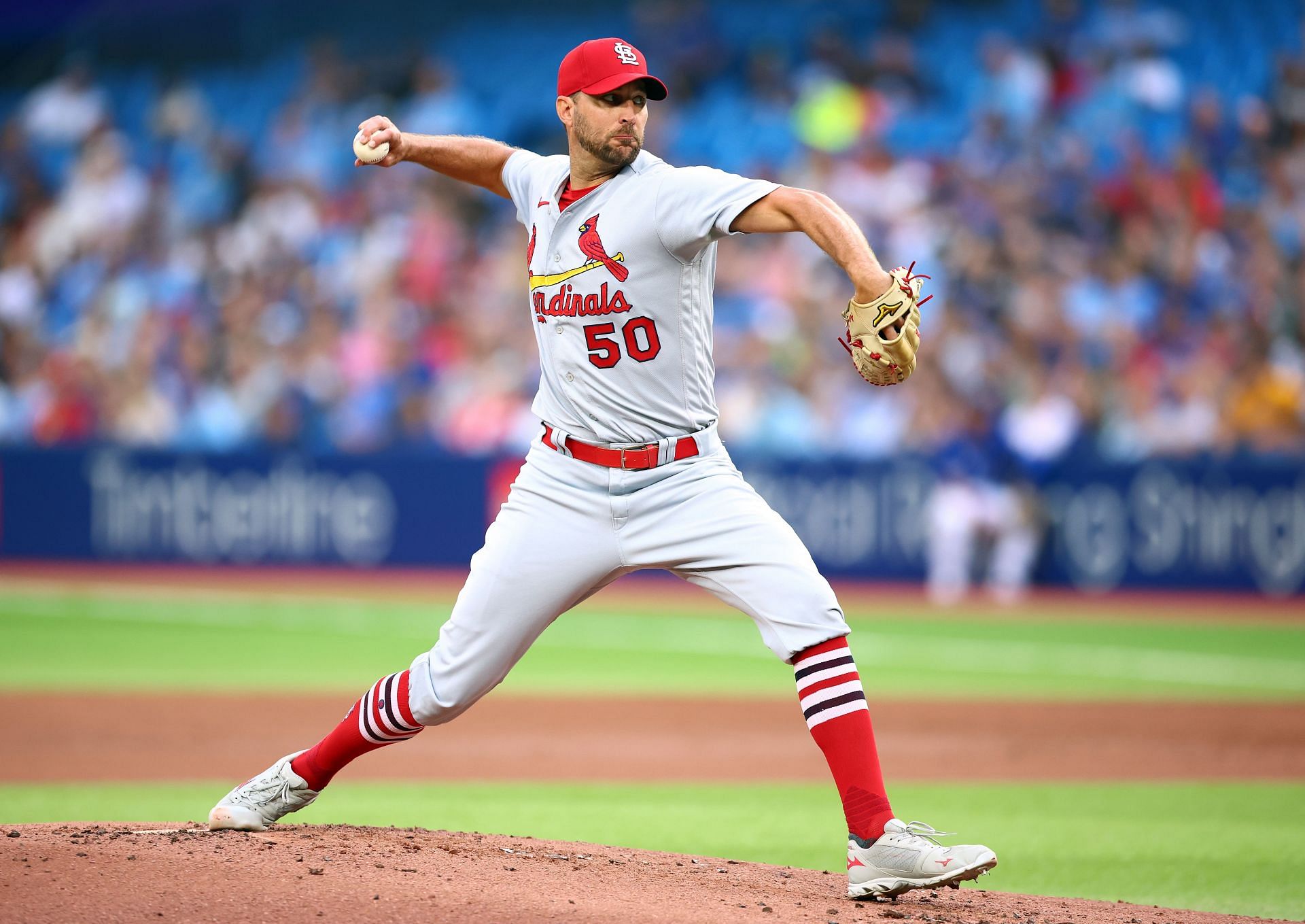 Adam Wainwright of the Louis Cardinals