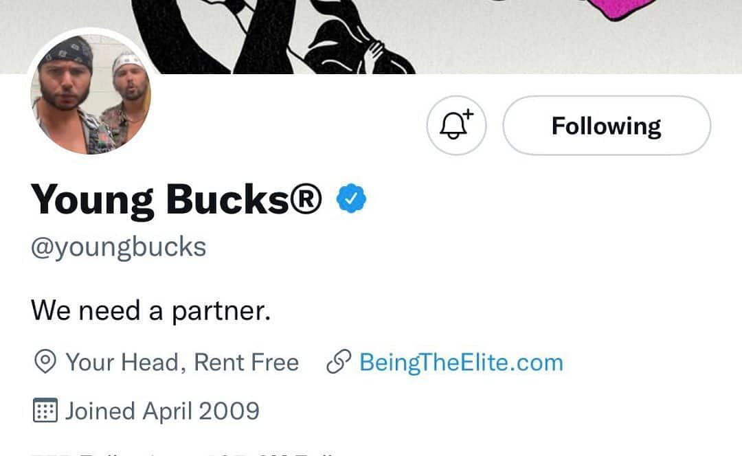 The Young Bucks' recently deleted Twitter Bio 