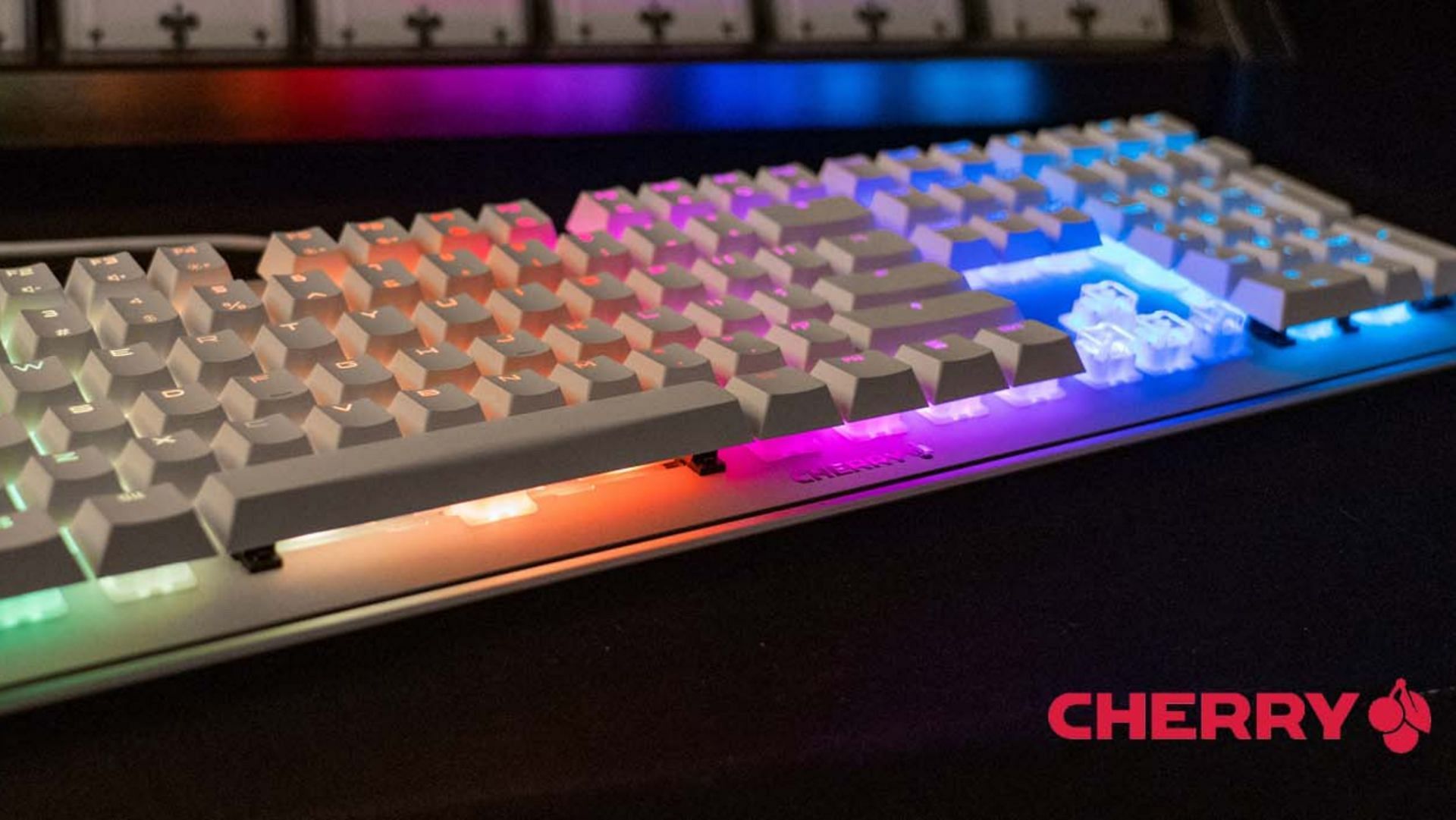 The Cherry switches have been a force to reckon with in the mechanical keyboard business (Image via Cherry)