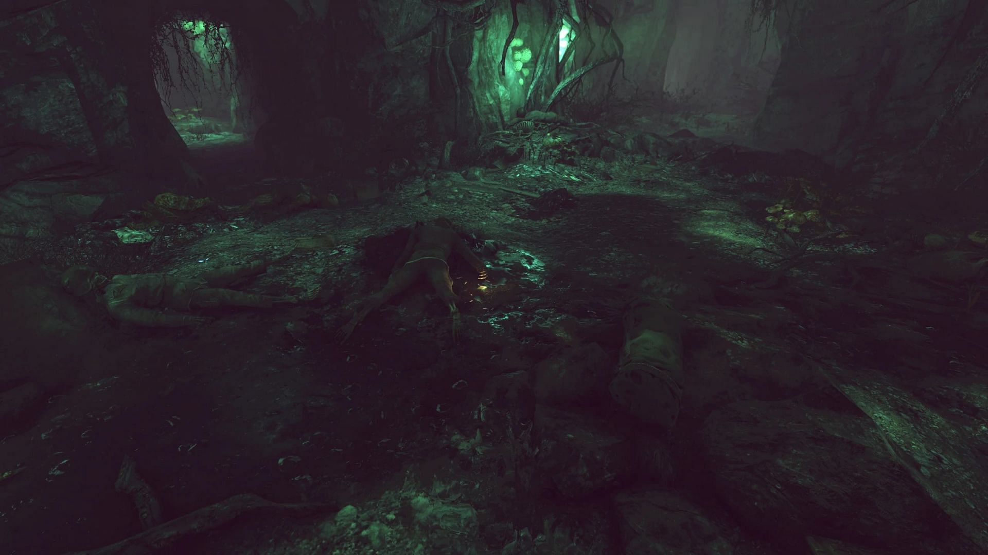 A look at one of the fallen soldiers in the Wendigo Cave (Image via Bethesda)