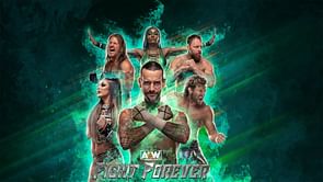 Potential release date for the "AEW: Fight Forever" video game disclosed