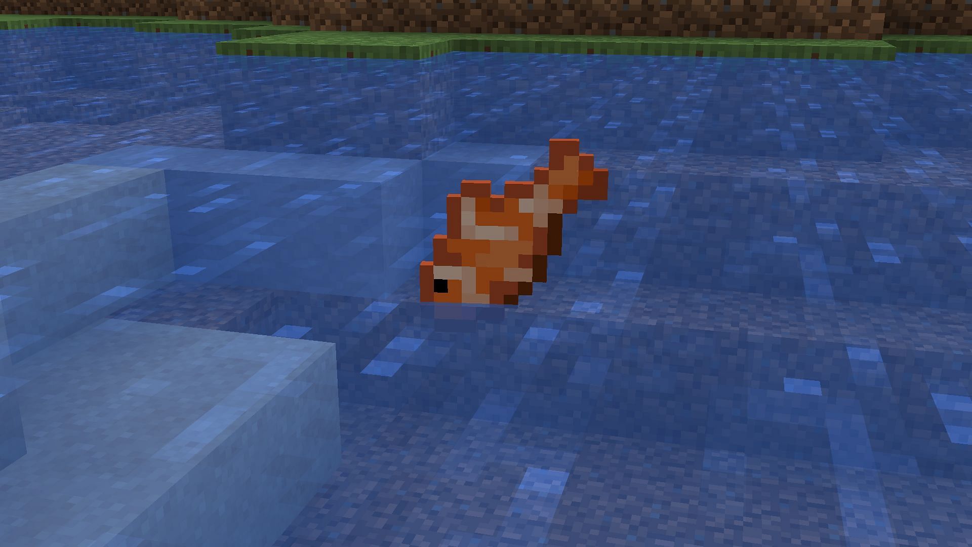 Tropical fish as an item can be used to feed wolves and trade with villagers in Minecraft (Image via Mojang)