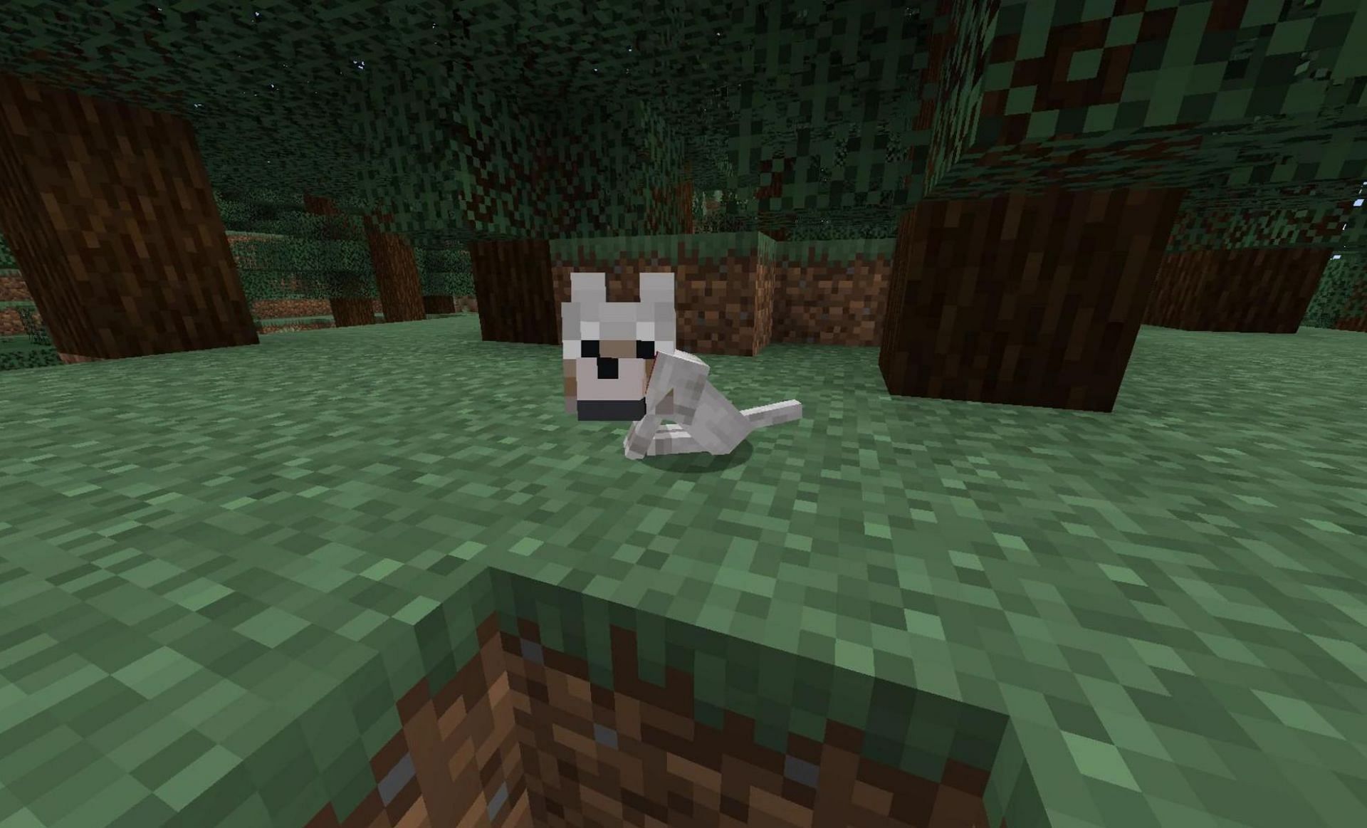 Wolves are the best to tame (Image via Minecraft Wiki)