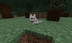 Top 5 mobs to tame in Minecraft for beginners