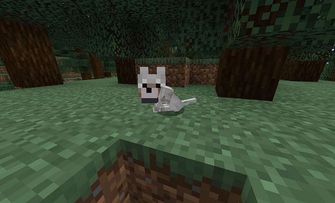 Top 5 mobs to tame in Minecraft for beginners