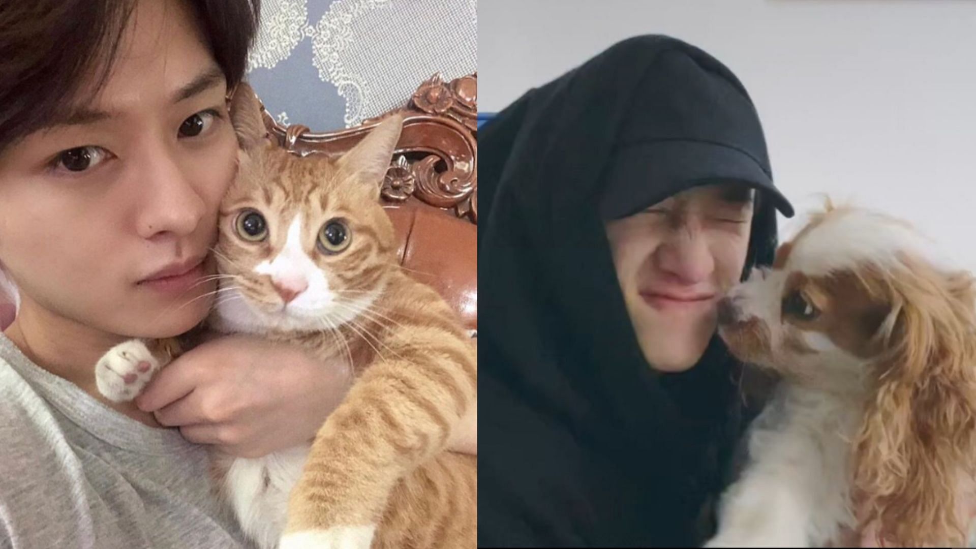 Stray Kids members Lee Know and Bang Chan with their pets (Image via Twitter)