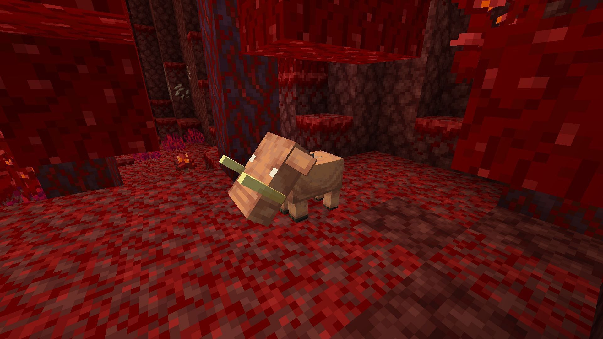 A baby hoglin in the nether (Image via Minecraft)
