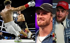 "Gib is the next Mike Tyson" - Logan Paul, Jake Paul, KSI and others react to AnEsonGib knocking Austin McBroom out cold