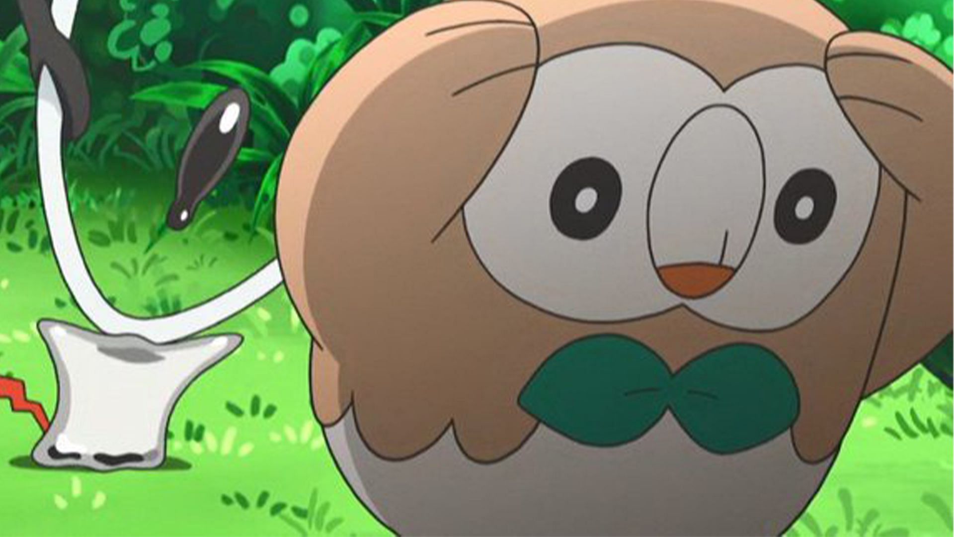 Rowlet as stressed as it can get (Image via The Pokemon Company)