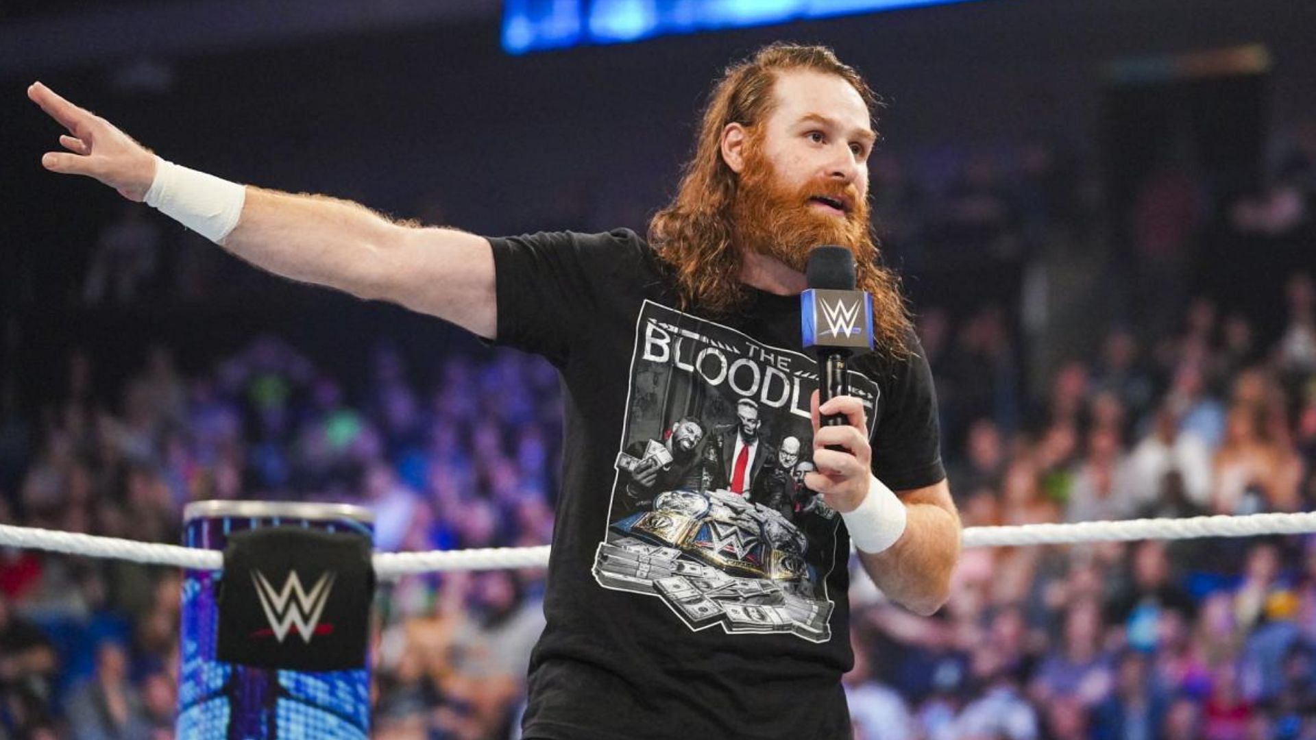 WWE SmackDown star Sami Zayn delivering a promo