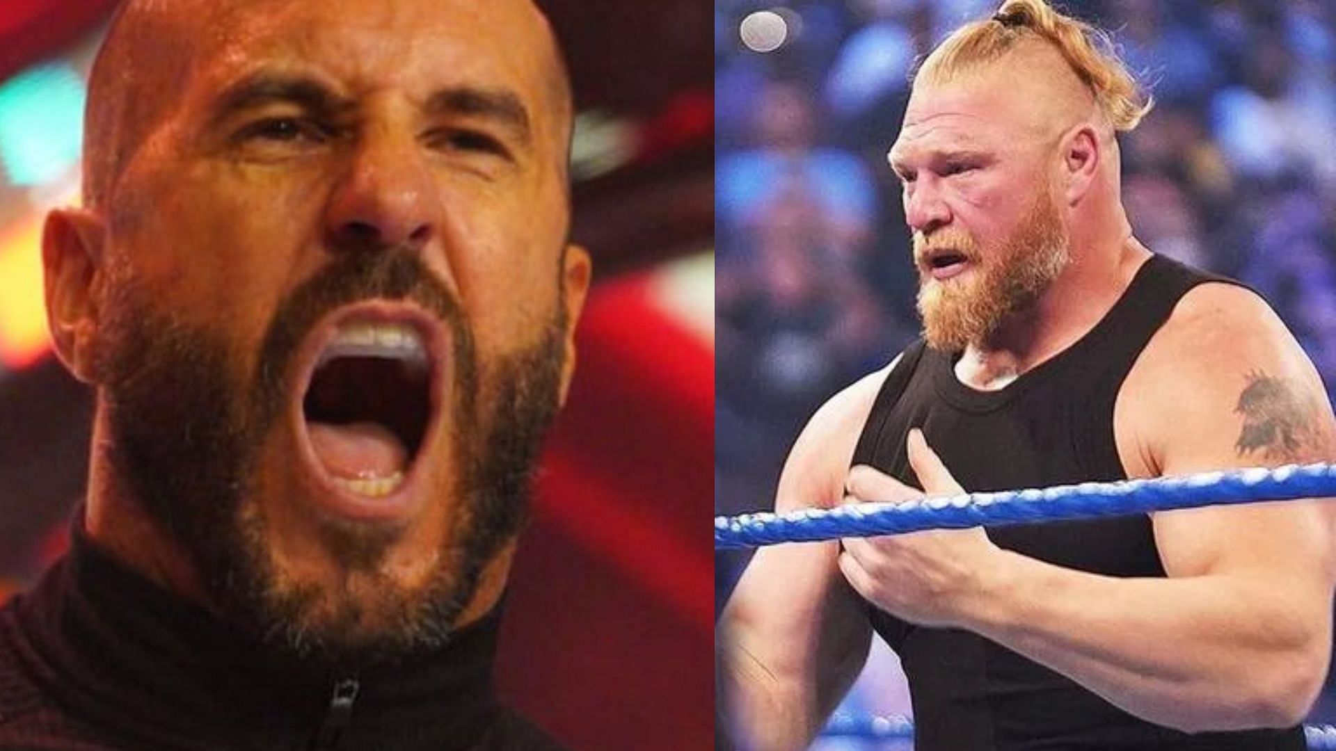 WWE Superstars like Cesaro and Brock Lesnar could thrive in NXT