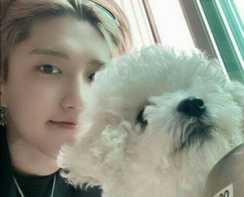 Meet Stray Kids’ pets: An introductory guide to the idols’ furry children