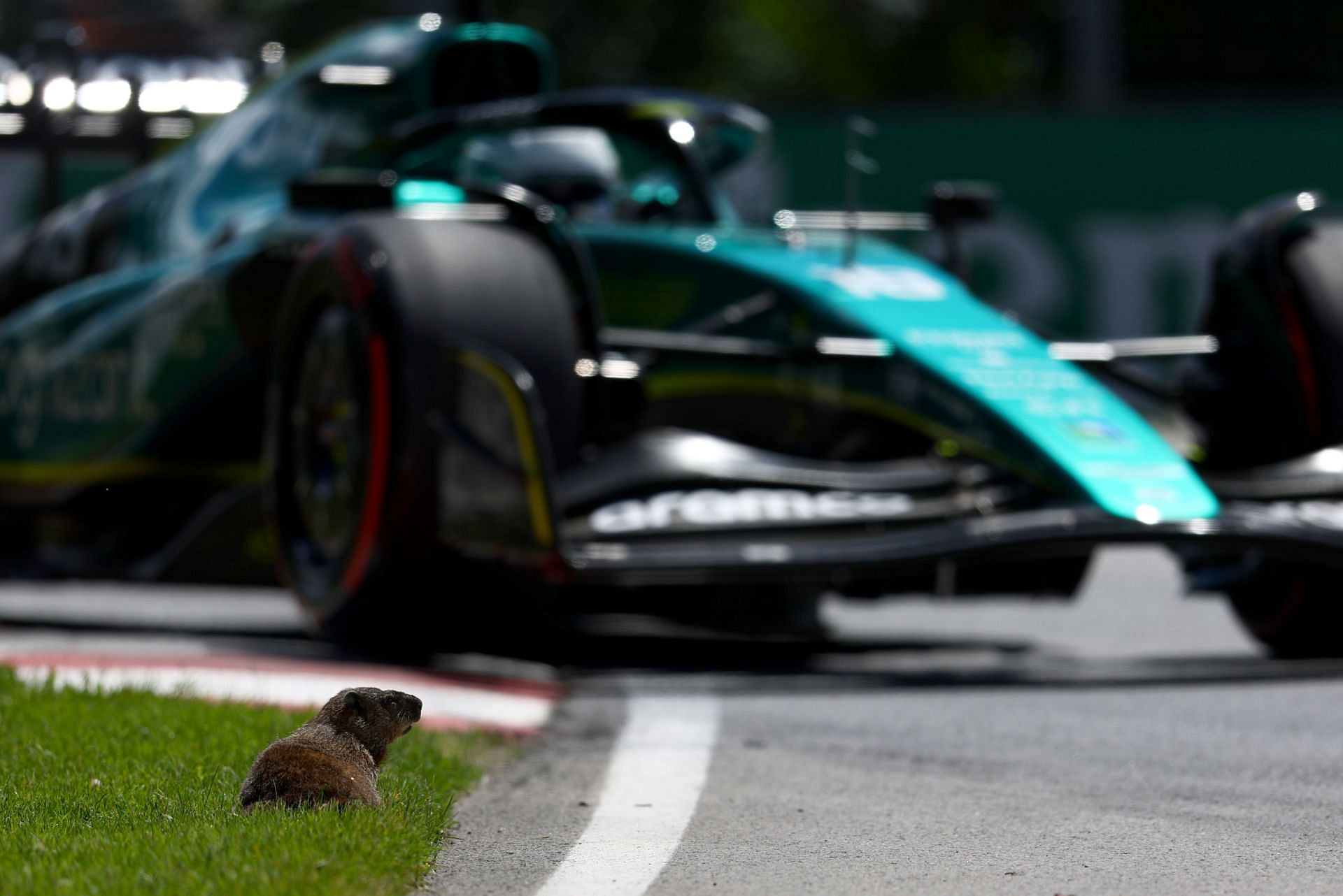 F1 Grand Prix of Canada - Practice