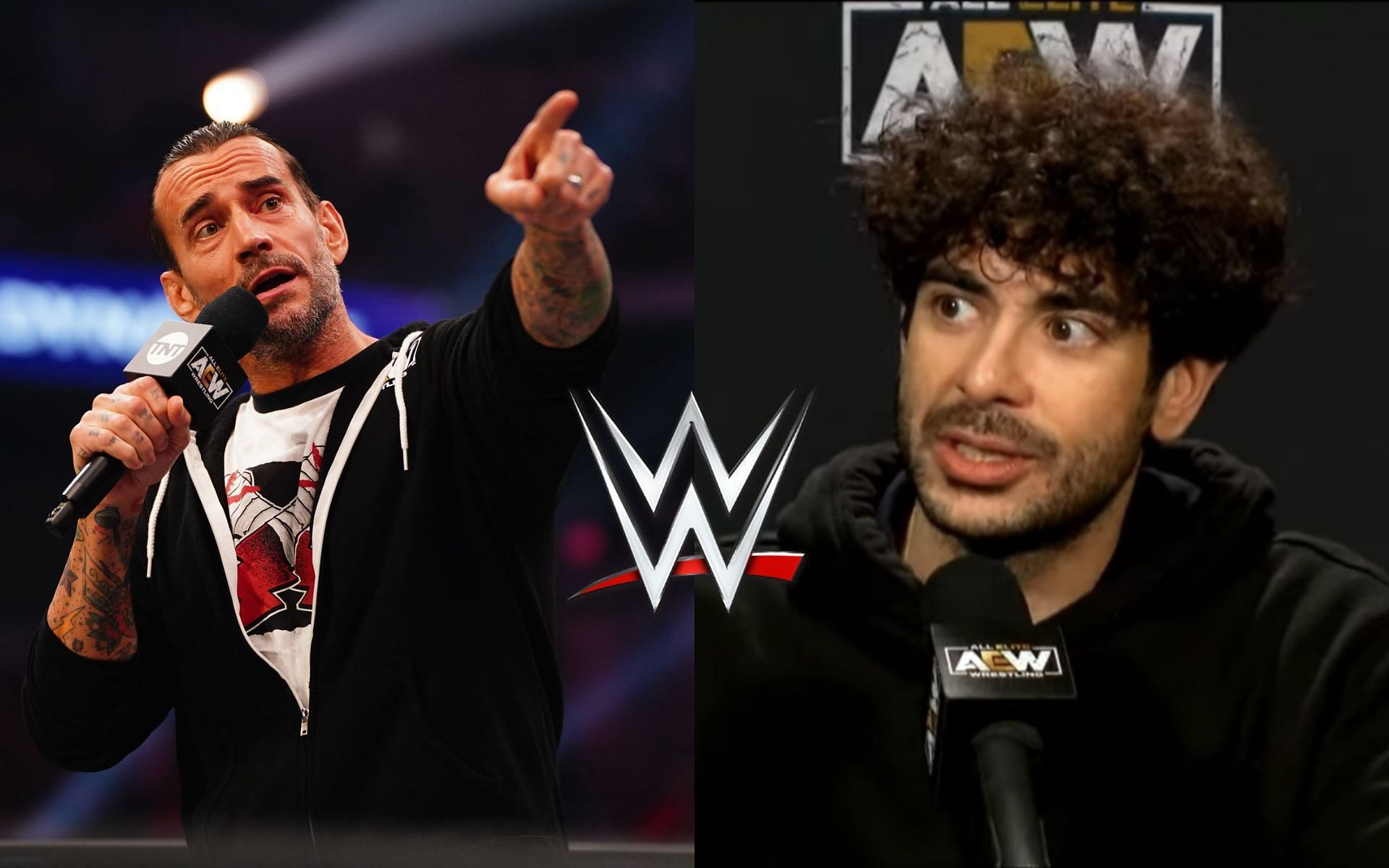 A former WWE personality thinks CM Punk disrespected AEW President Tony Khan.