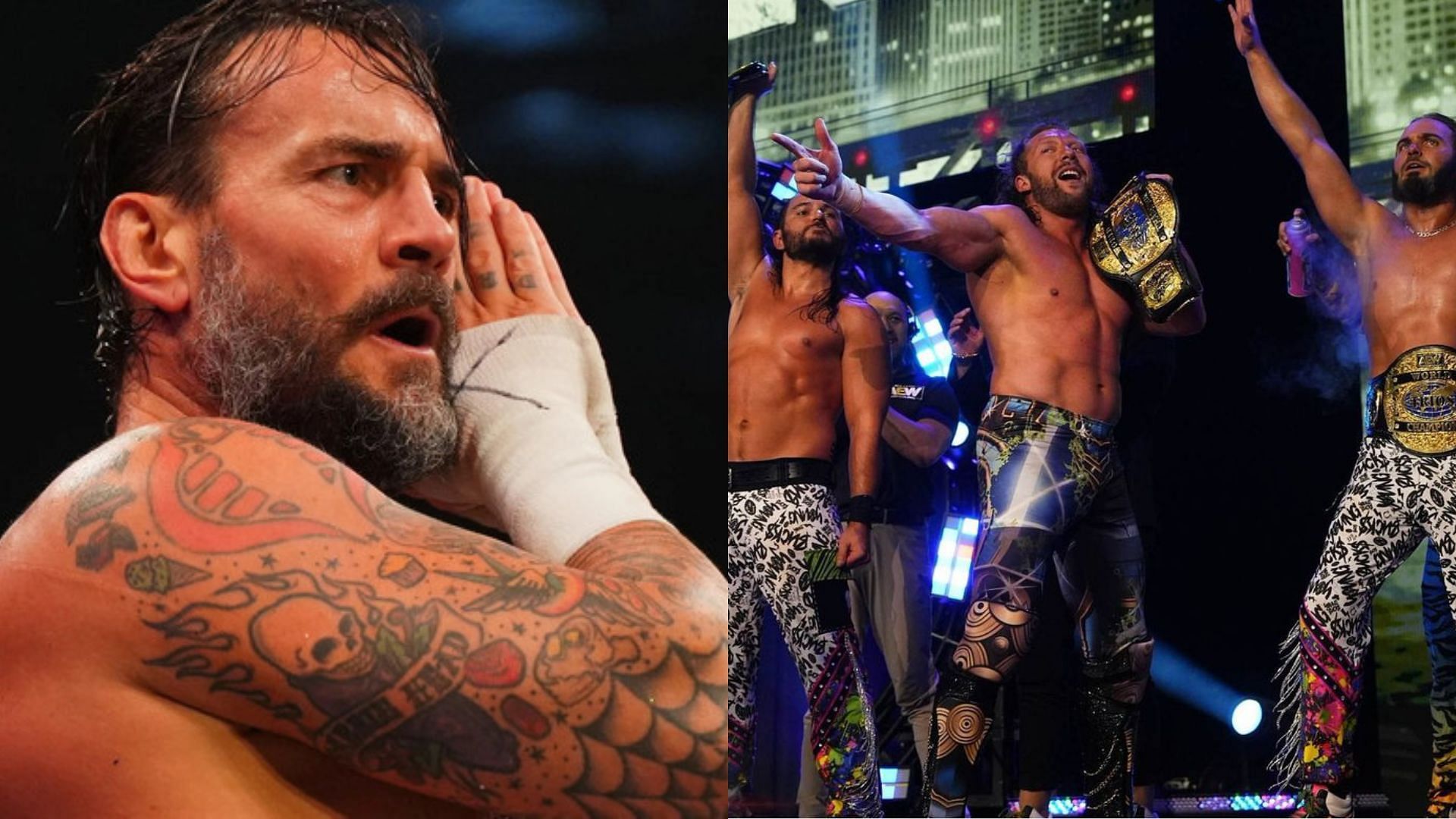 CM Punk and The Elite haven