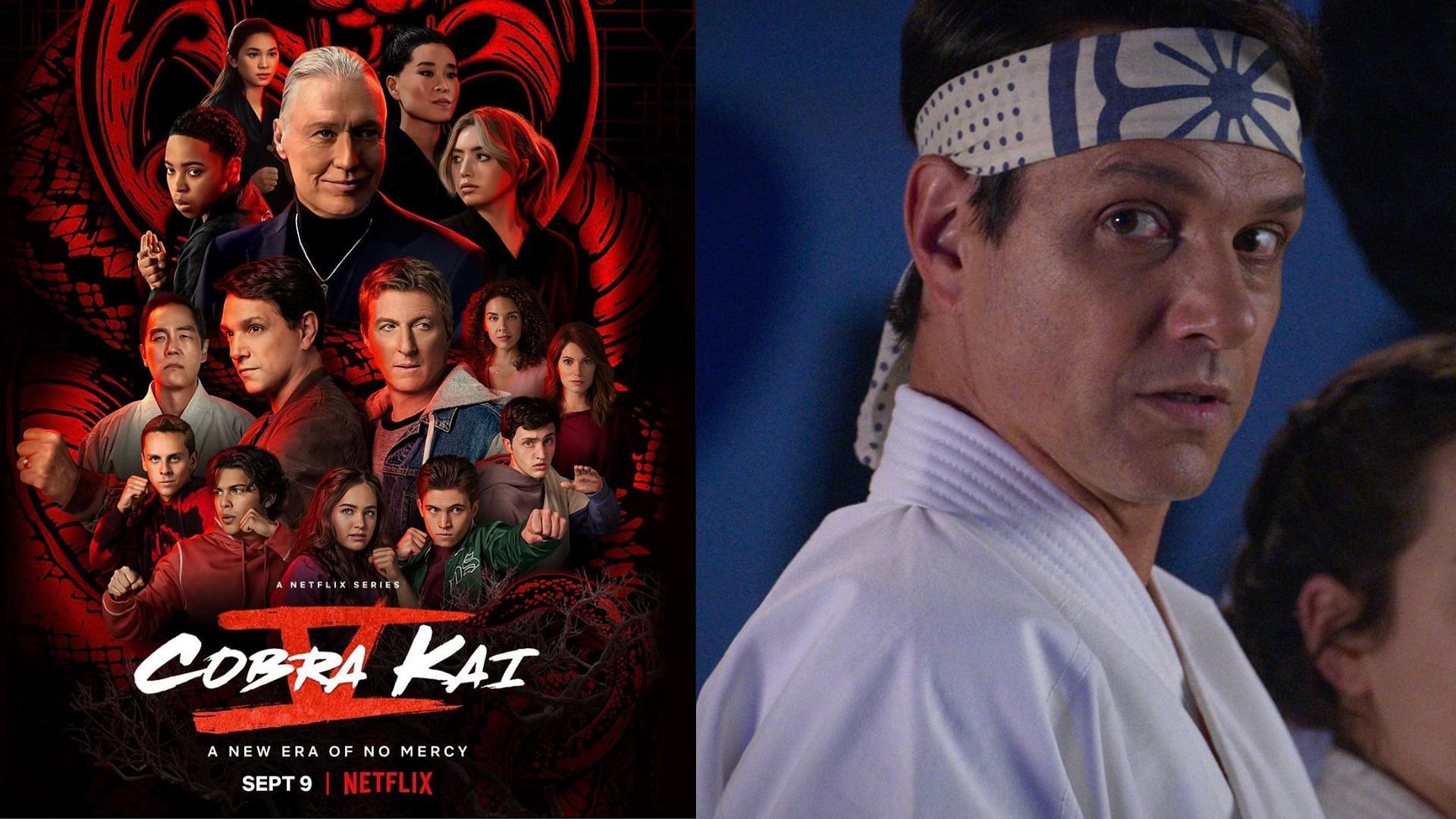 Watch Cobra Kai  Netflix Official Site