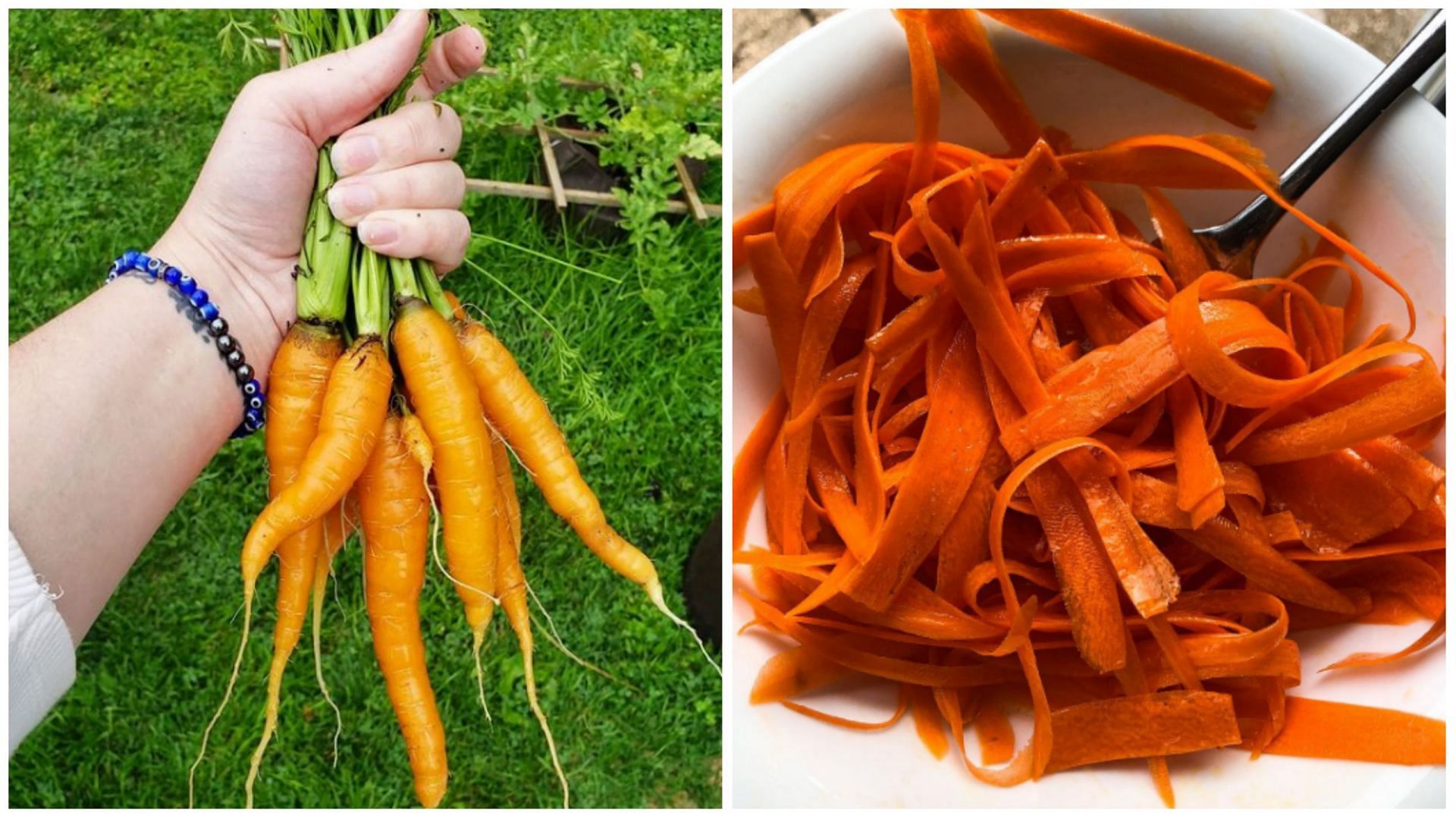 Raw carrot salad is going viral on TikTok (Image via @backto.balance and @mom.mindful/Instagram)