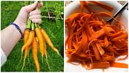 How To Make TikTok s Raw Carrot Salad Hormone Balancing Dish Goes 