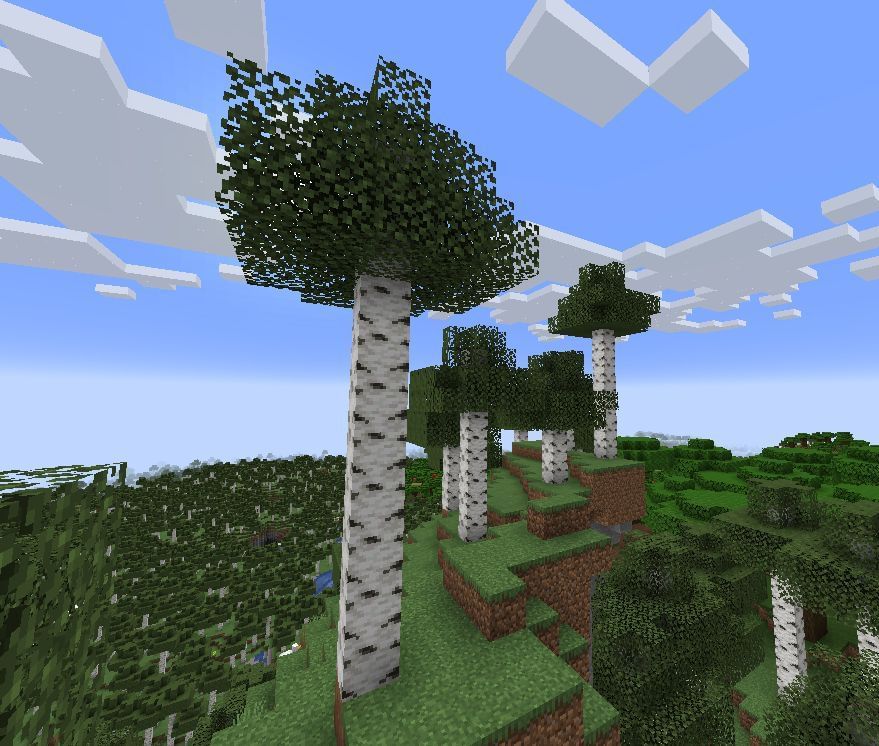 Birch Forest Hils in Minecraft