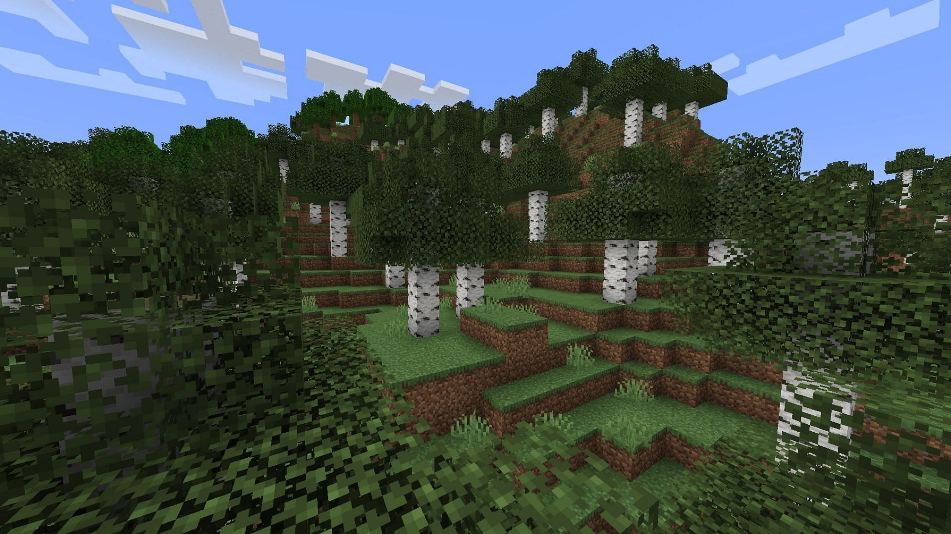 Birch Forest was about to receive a overhaul in the 1.19 update (Image via Minecraft Wiki)