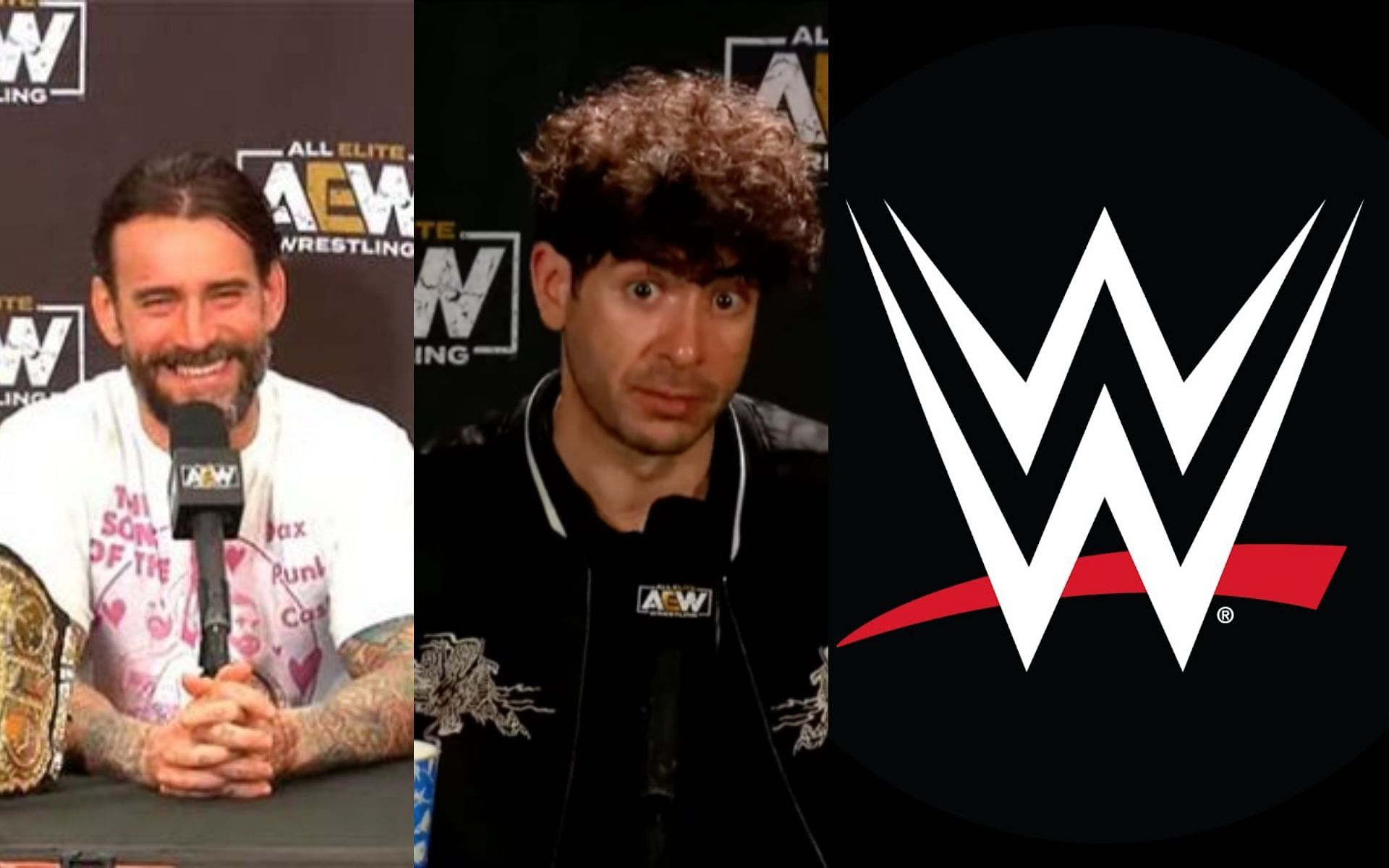 A WWE legend reviewed the fiasco during All Out media scrum featuring CM Punk and Tony Khan.