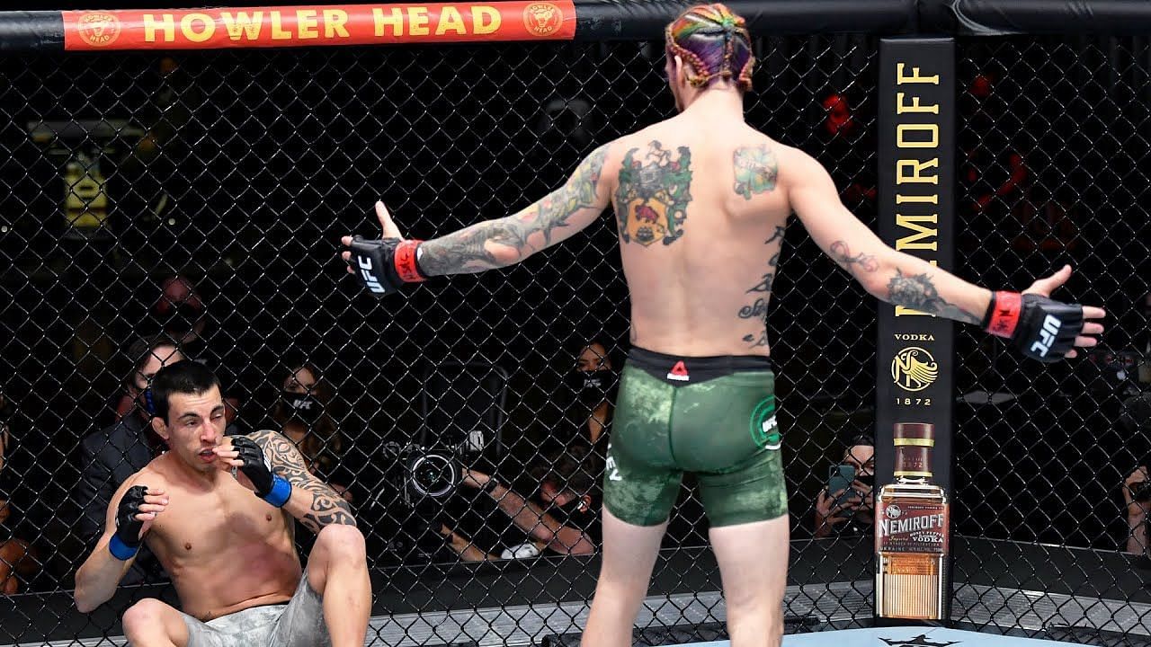 Sean O'Malley's attempts at a walk-off knockout against Thomas Almeida didn't quite to go plan