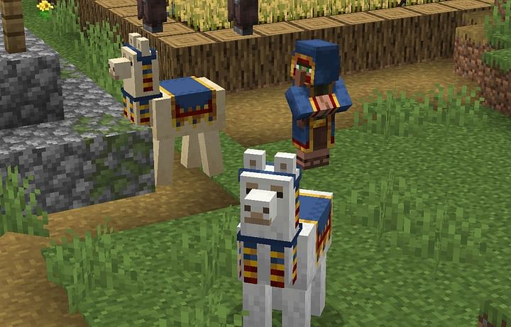 Trader llama in Minecraft