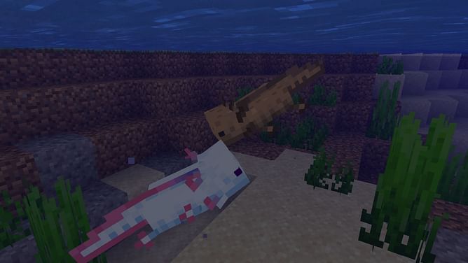 5 best Minecraft pets to tame in 2022