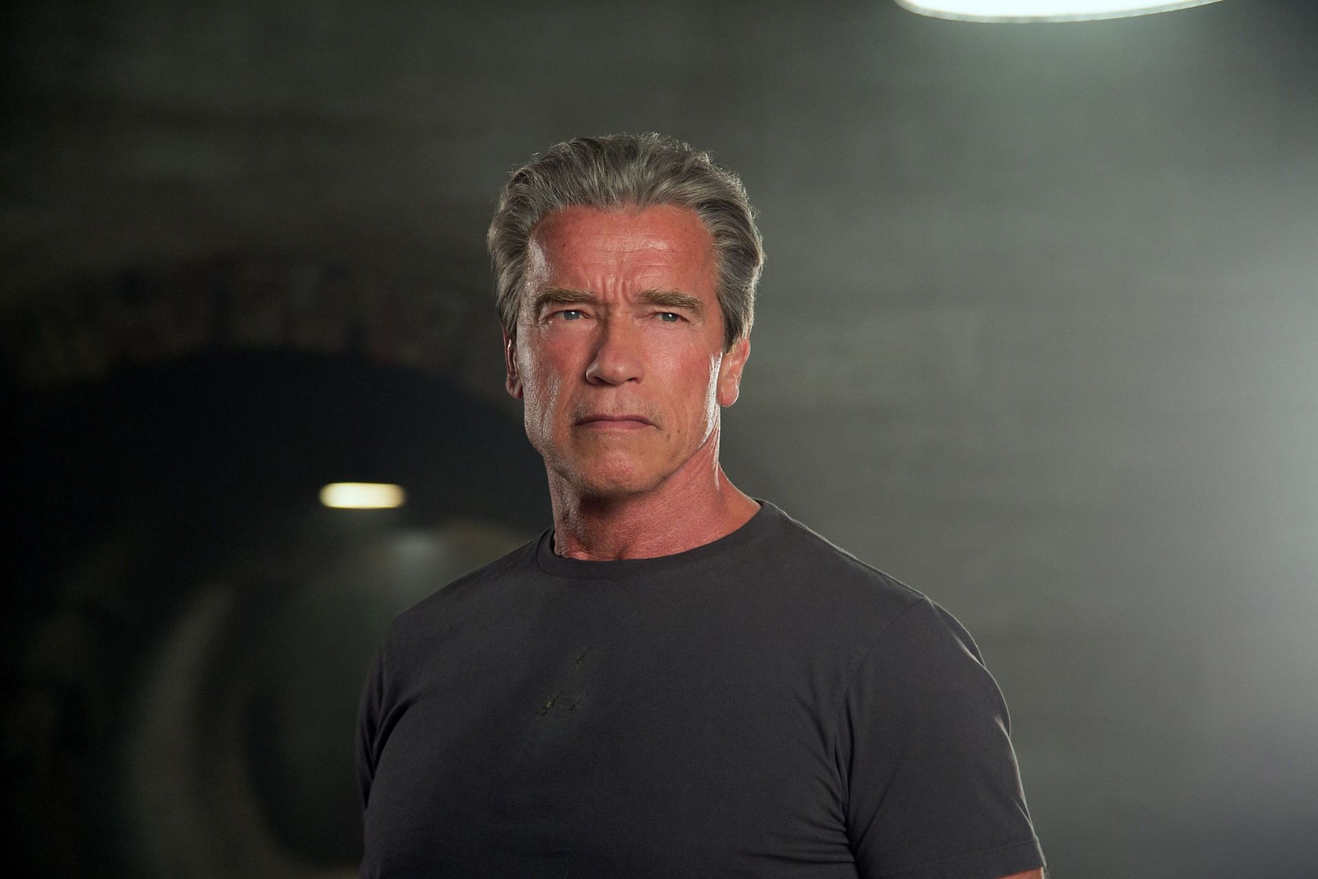 Here is Arnold Schwarzenegger