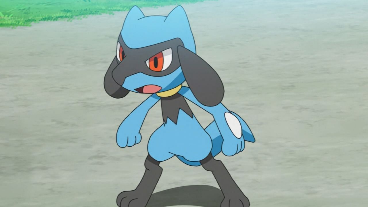 Riolu as it appears in the anime (Image via The Pokemon Company)