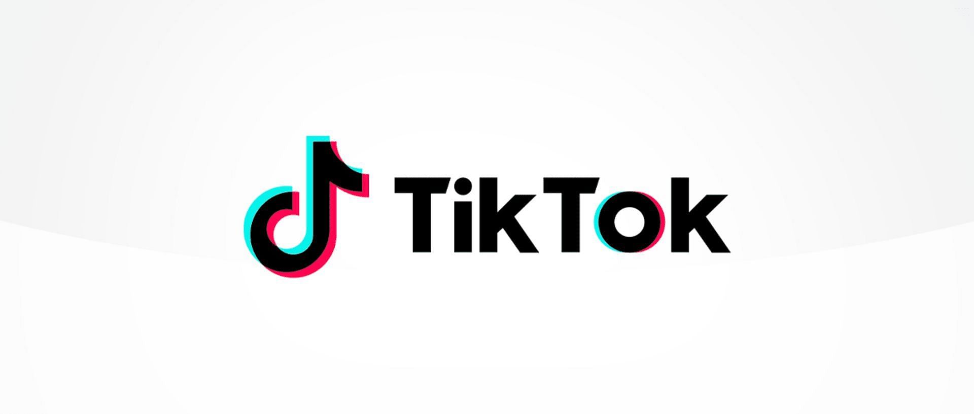 What does IMSG mean on TikTok? Various TikTok slangs explored. (Image via TikTok)