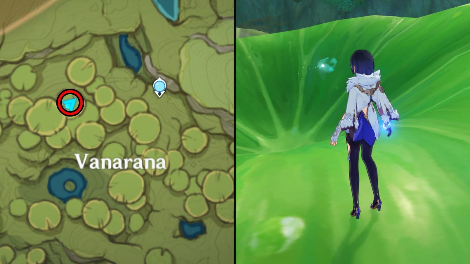 Hidden Vanarana Luxurious Chest guide in Genshin Impact (with all three