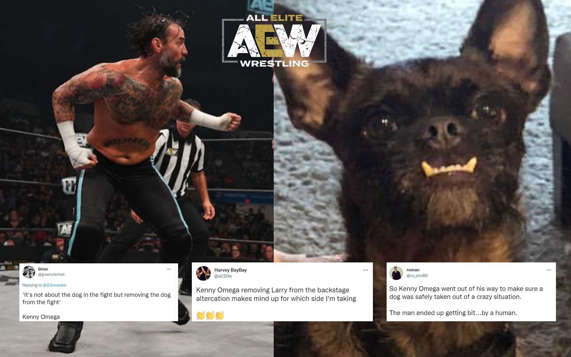 CM Punk adopted his dog, Larry a few years ago