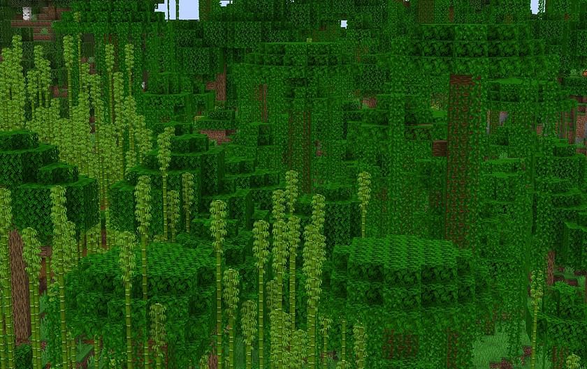 Bamboo Jungle In Minecraft 1157