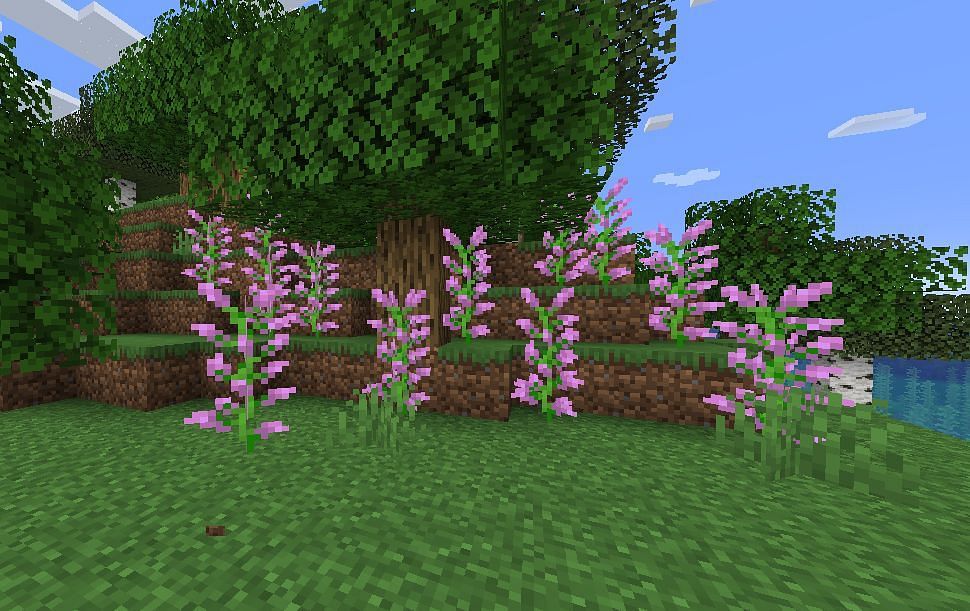 Forest In Minecraft