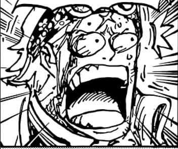 One Piece Chapter 1059's reveal of Shakky as Kuja royalty receives ...