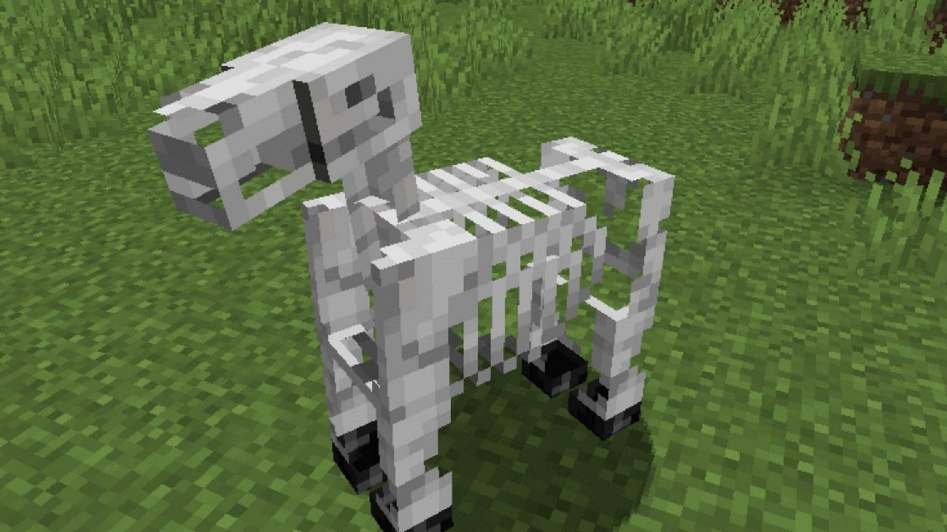 A rider-less skeleton horse (Image via Mojang)