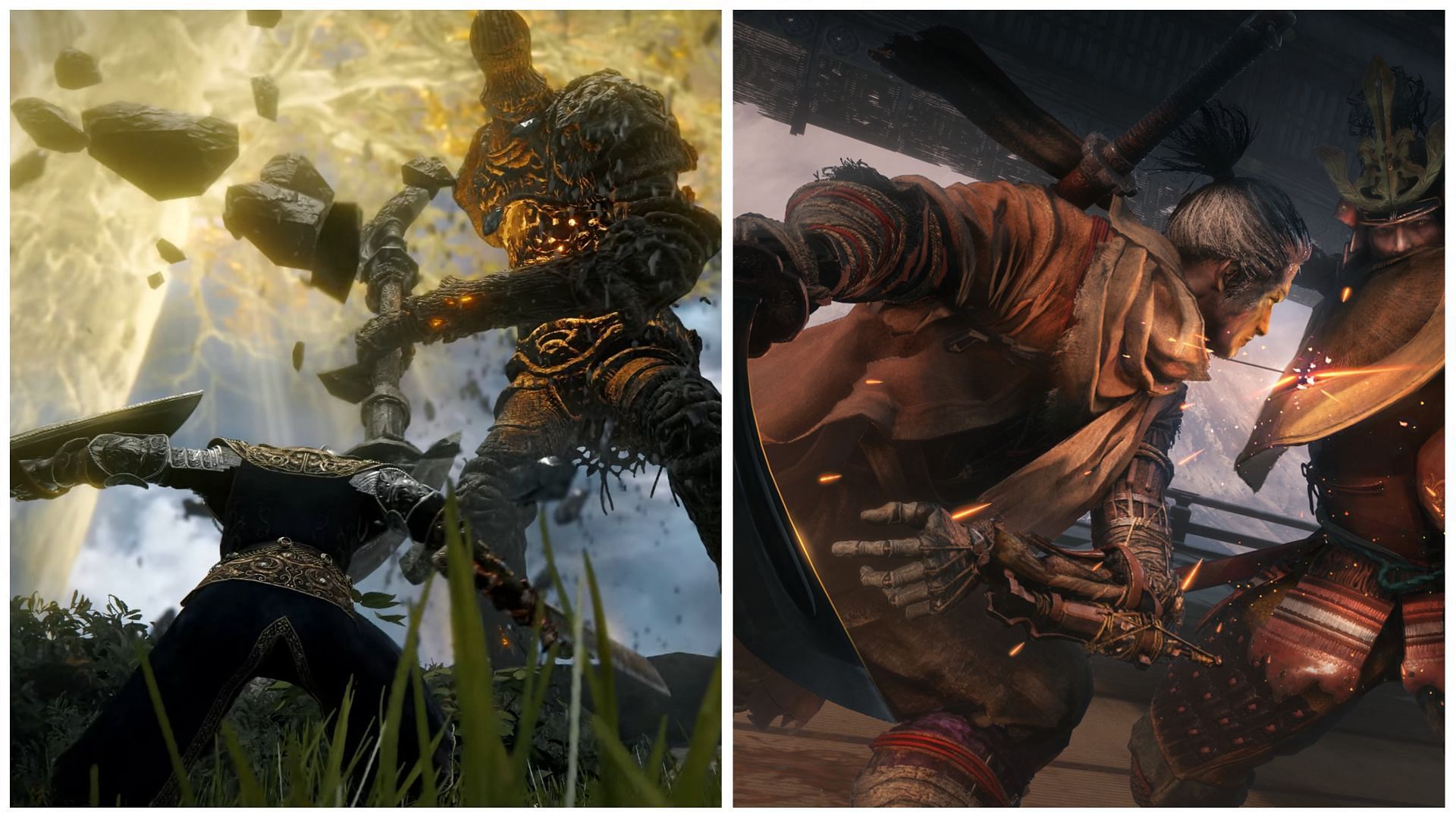 Elden Ring and Sekiro are two of the best games in the action RPG genre (Images via Bandai Namco and Activision)
