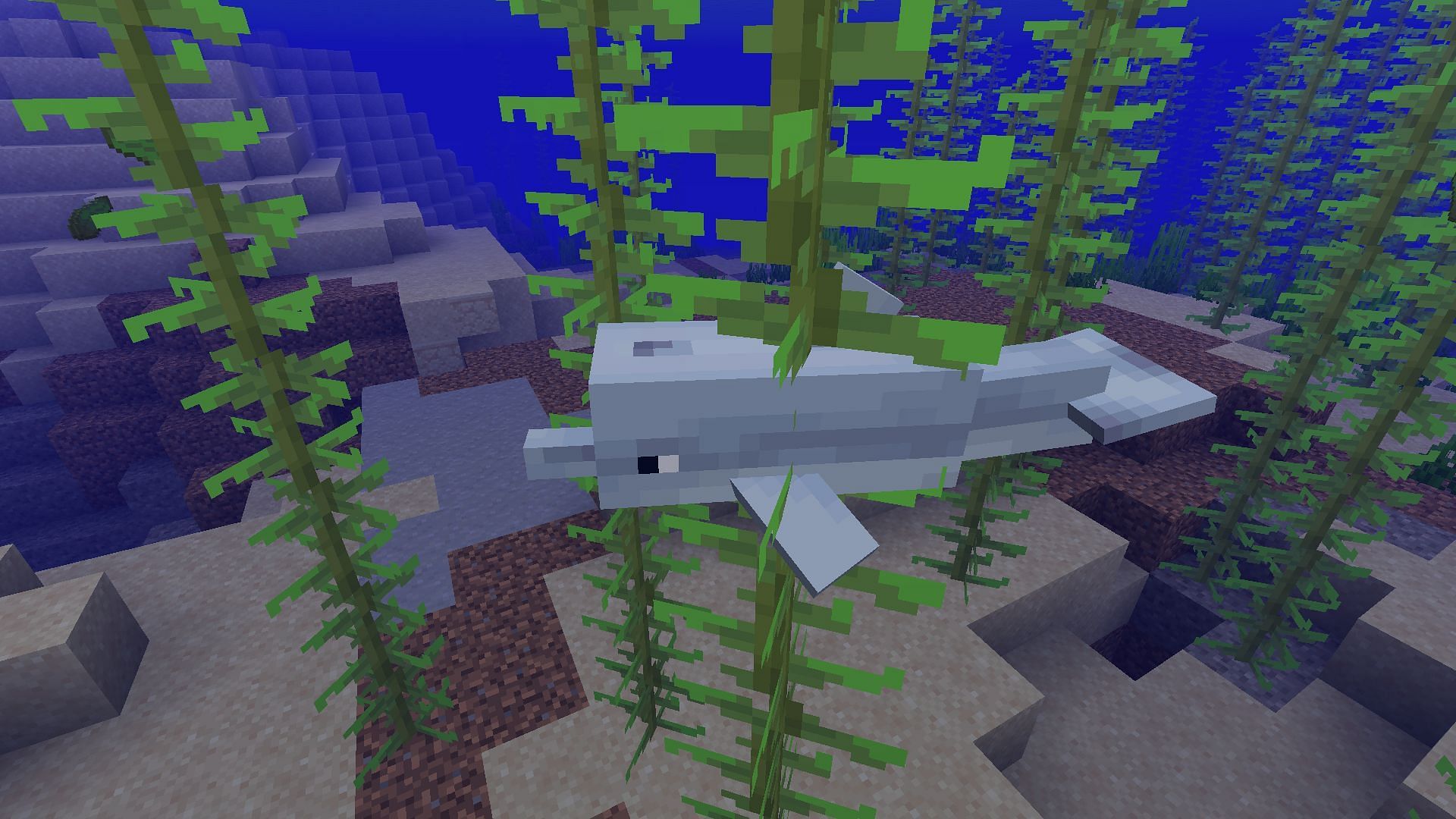 Dolphins are some of the cutest mobs in Minecraft 1.19 (Image via Mojang)