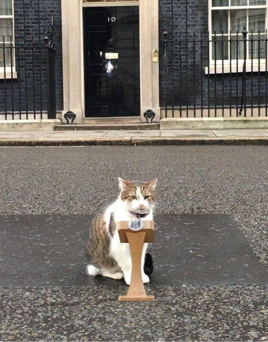 Chief Mouser