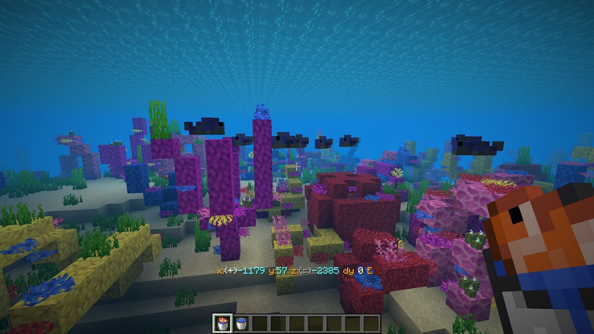 A bucket of tropical fish from a coral reef in Minecraft (Image via Mojang)